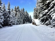 Beispielfoto - Fotoalbum