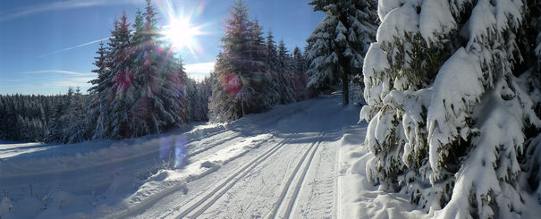 header_winter.spur_5.jpg